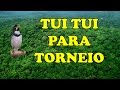 TUI TUI TORNEIO PARA TREINAMENTO DE FILHOTES