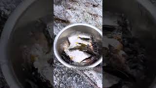 Download Lagu #OutdoorFishing#RuralLife 1768803815186 MP3