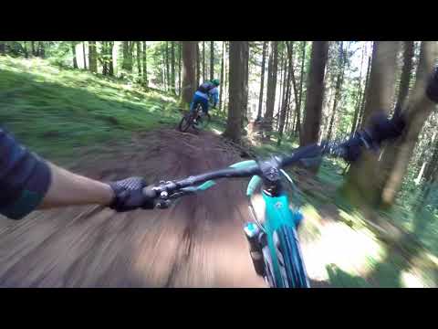 Singletrack in the French Alps | Mountain bike tours with Simon Lawton from Fluidride