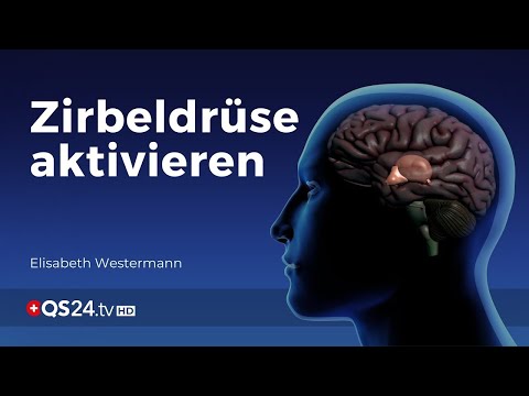 Zirbeldrüse aktivieren | Sinn des Lebens | QS24 Gesundheitsfernsehen Zirbeldrüse aktivieren | Sinn des Lebens | QS24 Gesundheitsfernsehen