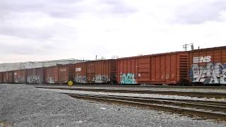 NS 8961 Leads NS 370 in Dalton, GA