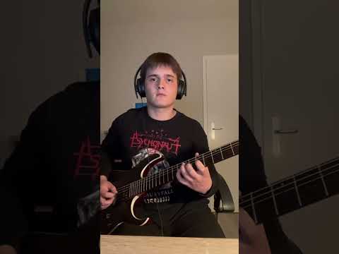 Decalius Shotgun Cover Metal Guitar Dsbm Decalius 