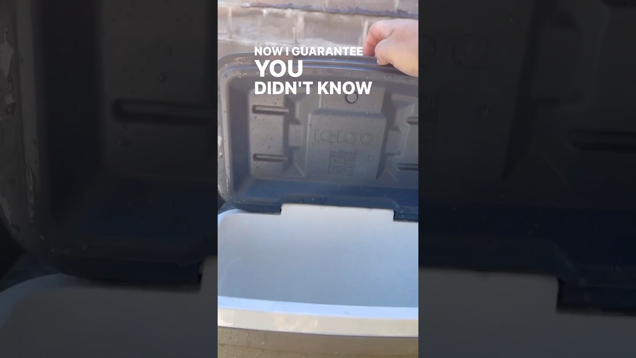 I guarantee you didn’t know your cooler had this…#lifehack #cooler #didyouknow #diy #igloo #review adlı videoyu YouTube'da izle I guarantee you didn’t know your cooler had this…#lifehack #cooler #didyouknow #diy #igloo #review adlı videoyu YouTube'da izle