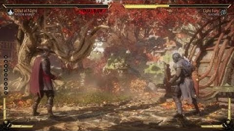 Mortal Kombat 11 noob saibot 50% combo