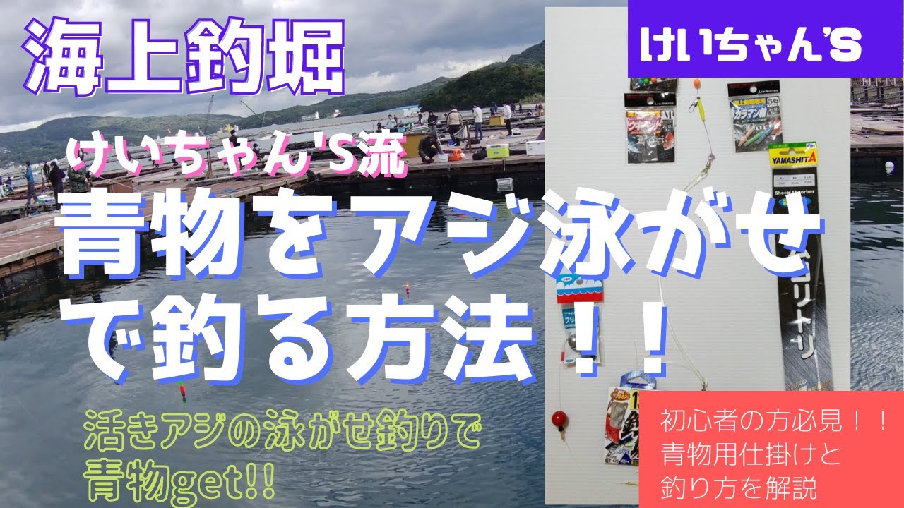 海上釣堀 けいちゃん S流 青物をアジ泳がせで釣る方法 Youtube