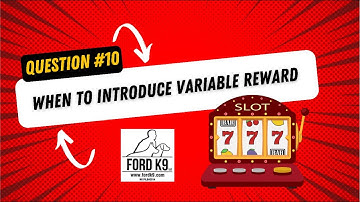 Question #10 When to introduce Variable Reward Schedule