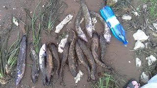 Ловля налима руками на реке Оке!!! Это реально !!! Рыбалка руками!!! 2016(Сходили на 2 часа на рыбалку!!!, 2016-06-28T15:23:55.000Z)