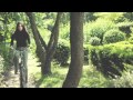 Big Fox - Grow Up
