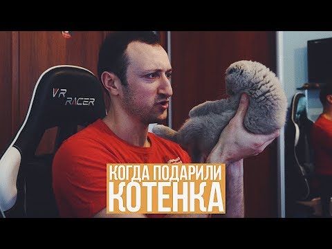 КОГДА ПОДАРИЛИ КОТЕНКА