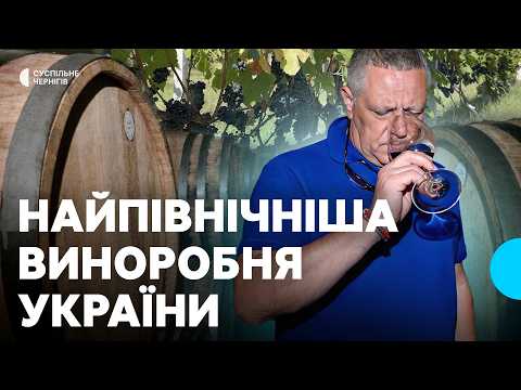 How they produce the "signature wine of Burgundy" in the Chernihiv region