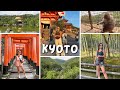 KYOTO | En Görkemli Tapınaklar, Shinkansen Tecrübemiz, Yemyeşil Japonya 🇯🇵🍡🎎
