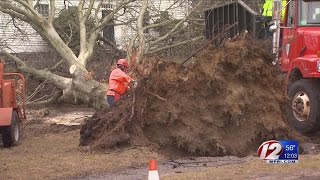 Overnight Storms Leave Behind Significant Damage