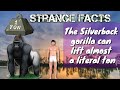 Strange facts  all around the world  ts book