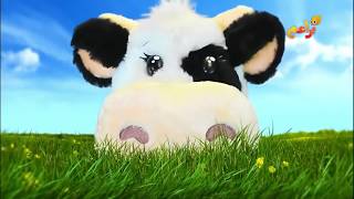 Cow Song