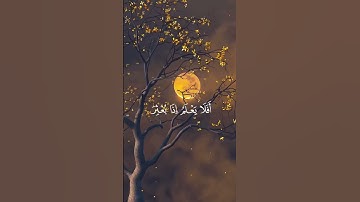 تلاوة خاشعة لايات من سورة العاديات بصوت الشيخ خالد الجليل | راحة للقلب والروح