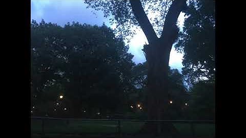 THINGS THAT MOVE JANUARY 22, 2026 at WYLDFLOWR ARTS