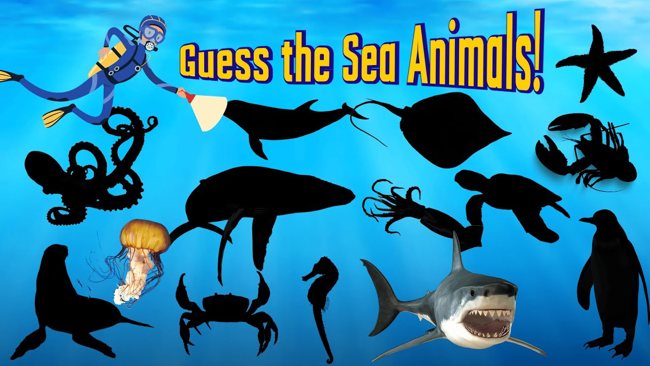 Guess the Underwater Animal Before Time Runs Out!