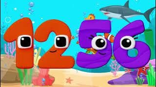 Wonderland Numbers Skip Counting 157 Untill 1727