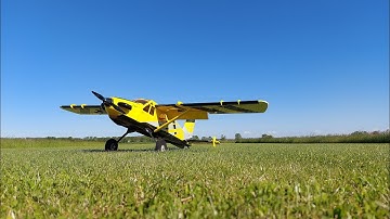 Buschmaster Servo setup settings to mix the flaps