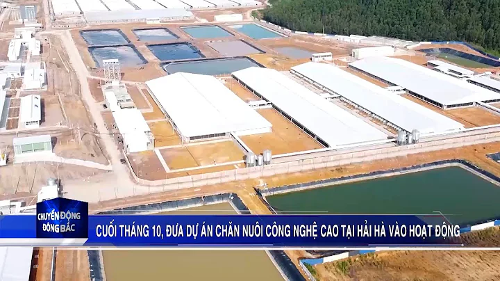 Dự án chăn nuôi công nghệ cao tại Hải Hà hoạt động từ cuối tháng 10