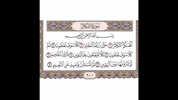 سورة التكاثر بصوت الشيخ ياسر الدوسري |قرآن كريم |QURAN KARIM |حالات واتساب دينية
