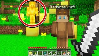 GOLD STEVE FOUND IN MINECRAFT! \/W MOOSECRAFT!