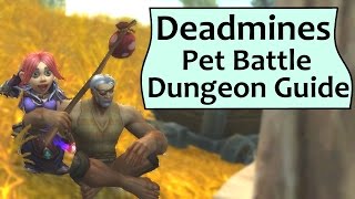 Deadmines Pet Battle Dungeon Guide screenshot 5