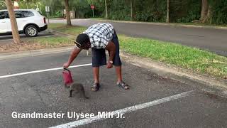 How to get a puppy to bite protective gear