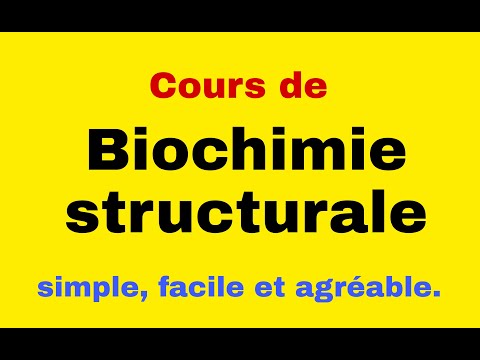 Vidéo: Une Bibliothèque De Balises D'expression Efficace Basée Sur Des Peptides Amphipathiques Auto-assemblés