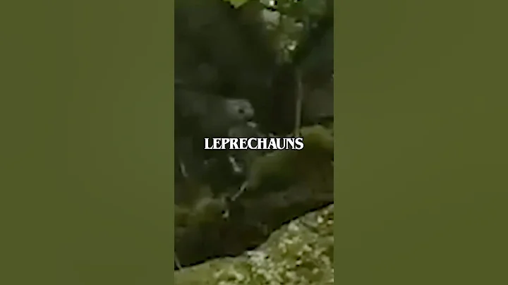 Leprechauns exist?
