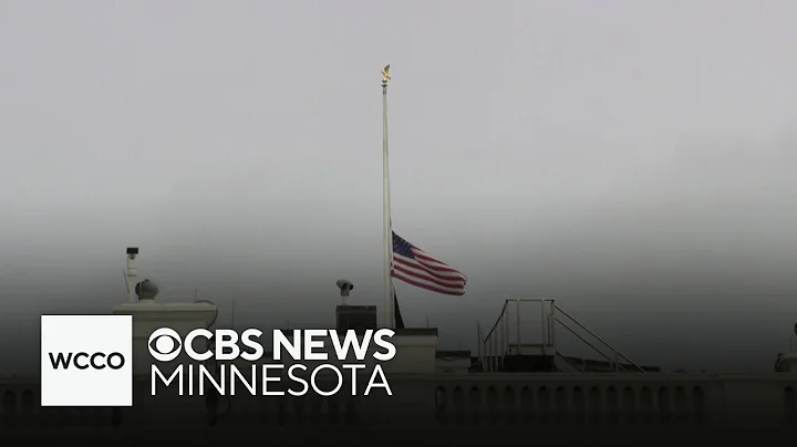 Political experts weigh in grappling with political violence