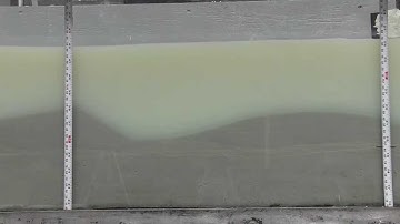 Fine sediment deposition and storange in sandy fluvial systems: mid concentration 20x