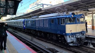 【東海道線】配9645レ 新津配給 EF64形1000番台1031号機 E235系1000番台F-34編成 横浜駅 通過シーン