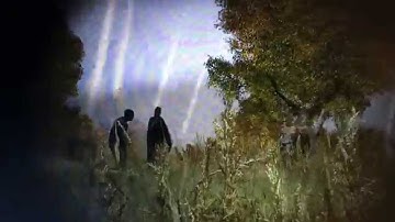 DayZ standalone 0.54 funny animal bug