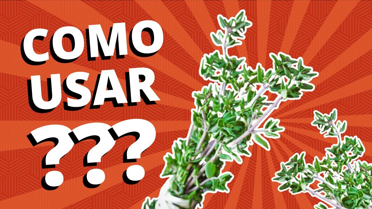 TOMILHO COMBINA COM O QU COMO USAR EPIS DIO 03 SE METENDO NA tomilho-combina-com-o-qu-como-usar-epis-dio-03-se-metendo-na