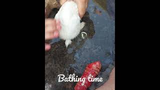 Bunny 🛁  Bathing