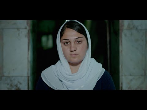 Dor & Temor Video