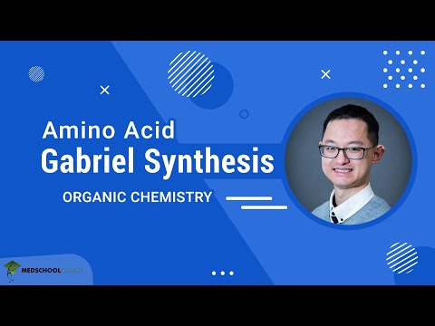 Vidéo: Quelle amine peut être préparée par synthèse de phtalimide Gabriel ?