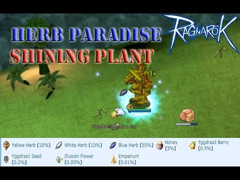 Ragnarok Online Herb Paradise Yggdrasil Berry Youtube