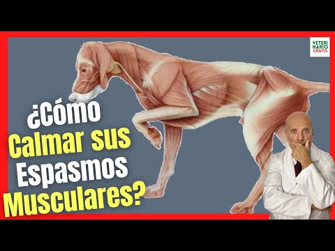 Video: 22 animales que no están encantados de perder una hora de sueño este fin de semana