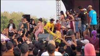 new pallapa live ketangi rembang, all artis nemu