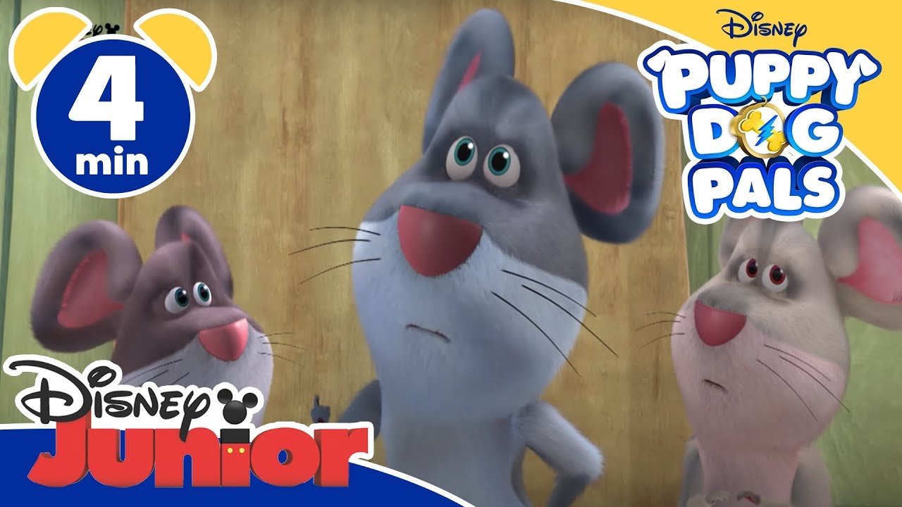 Puppy Dog Pals | Il mistero del pane scomparso - Disney Junior Italia