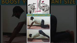 Boost Your Elephant Size Intense Kegel Workout For Men Pelvic Power Routine