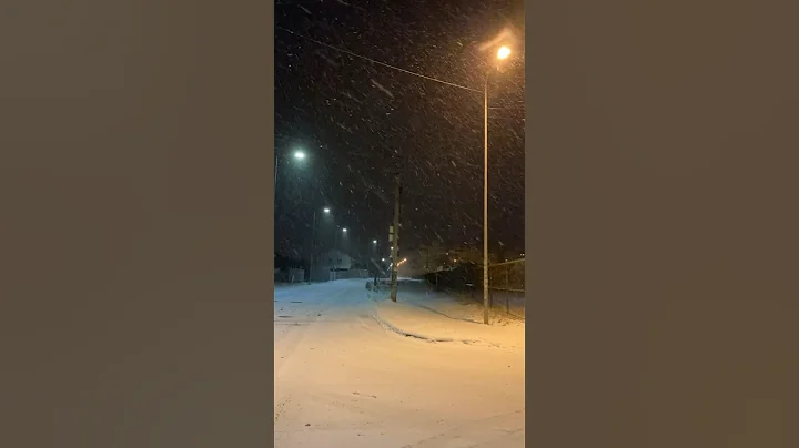 Late Night, Snowfall #snowfall #snow #latenight #night #winter #city #peace #shorts
