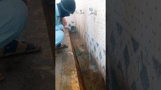 Celebrity Small Man Jumping Into WATER 🤣😂 #shorts #ytshorts #funny #memes #motivation Profile