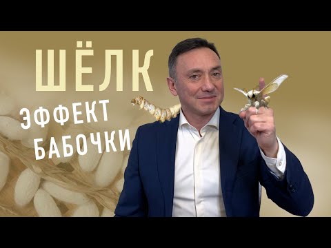 ШЁЛК, КАК ЕГО ПОЛУЧАЮТ ИЛИ ЭФФЕКТ БАБОЧКИ