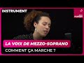 La voix de mezzo-soprano, comment ça marche ? Adèle Charvet - Culture Prime