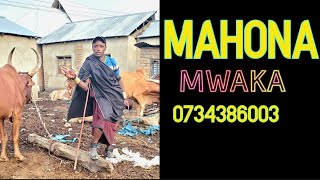 MAHONA_MWAKA[0734386003