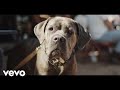 Ryan Bingham - Let the Big Dog Eat (Official Music Video) ft. The Texas Gentlemen