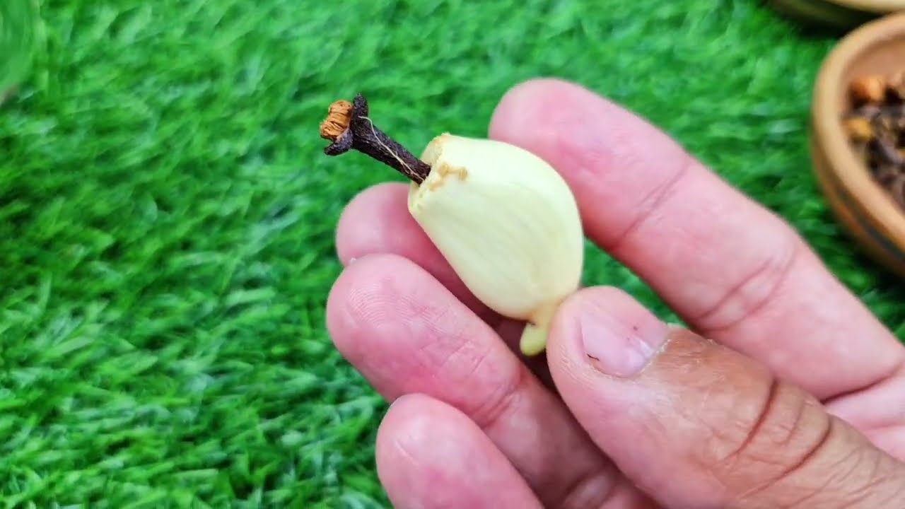 Garlic Mix Cloves and Cinnamon in Water Recipe by Mrdesi | Yummy Breakfast Recipe